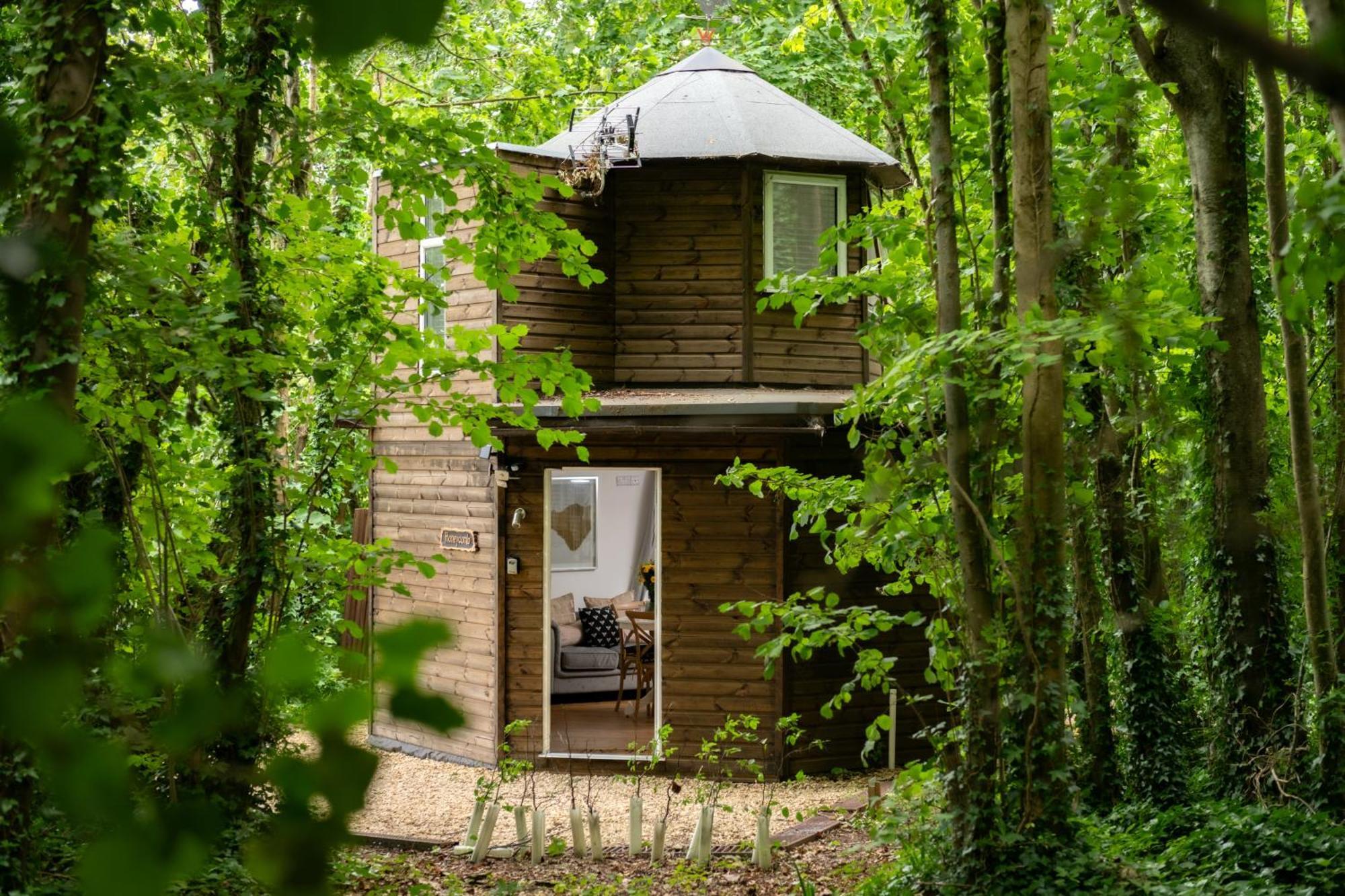 Honeycombe - Treehouse In The Heart Of Dorset Villa Blandford Forum Eksteriør bilde