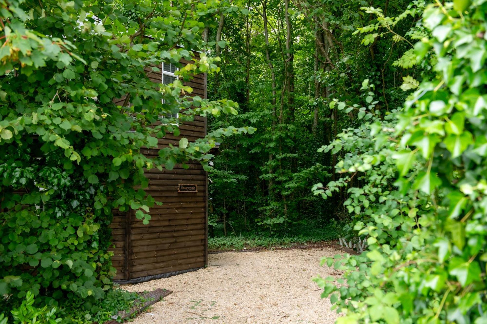 Honeycombe - Treehouse In The Heart Of Dorset Villa Blandford Forum Eksteriør bilde