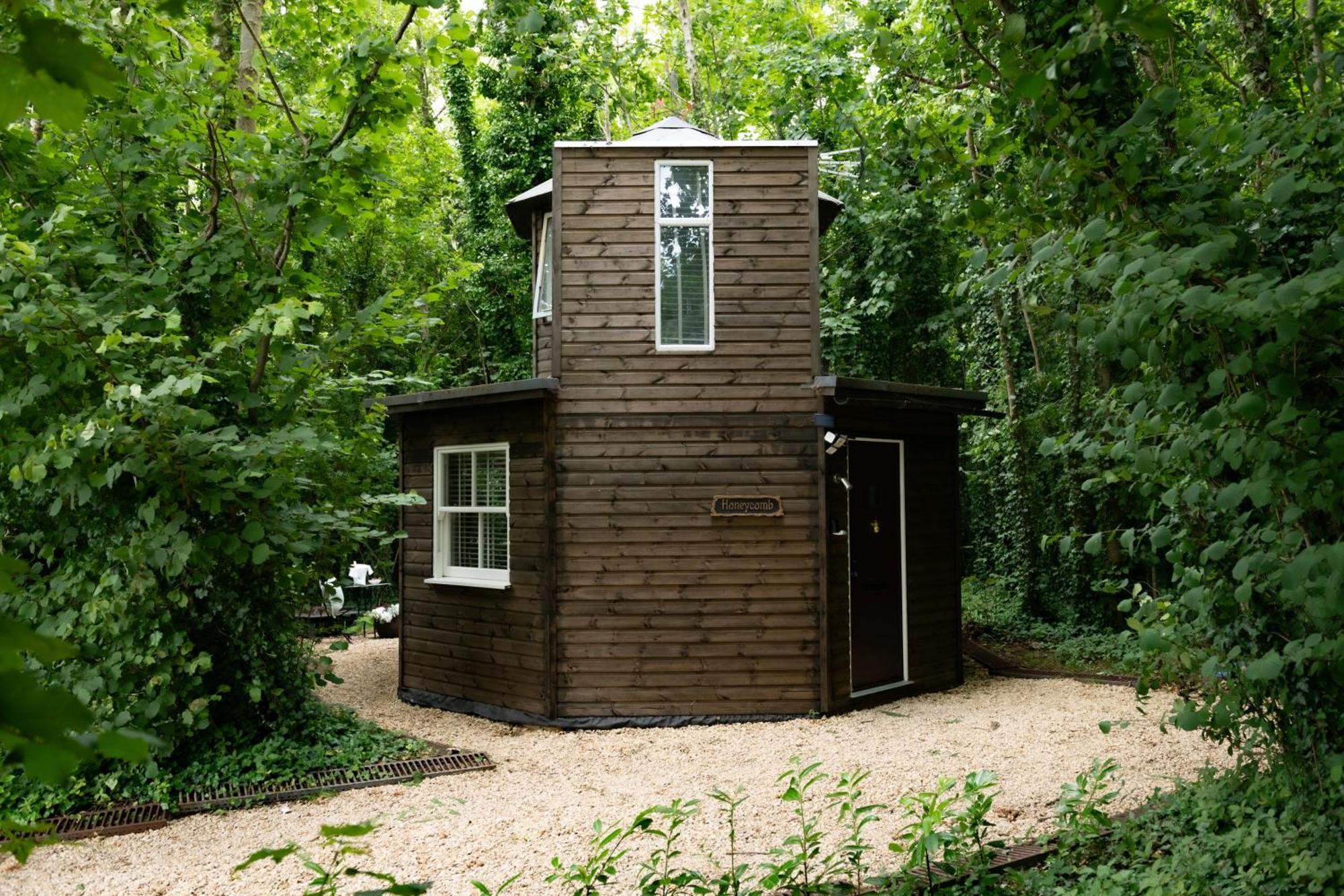 Honeycombe - Treehouse In The Heart Of Dorset Villa Blandford Forum Eksteriør bilde